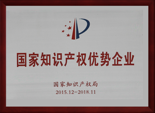 National intellectual property advantage enterprise