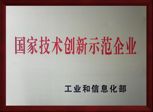 National Technological Innovation Demonstration Enterprise